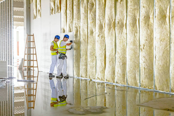 Best Attic Insulation Installation  in Hudson Oaks, TX